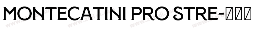 Montecatini Pro Stre字体转换